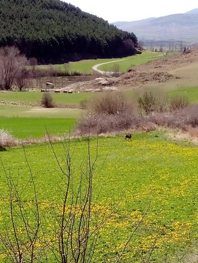 Chalet De Llivia Estavar Dış mekan fotoğraf